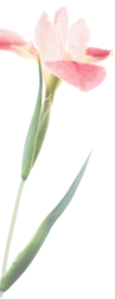 цветочек 1